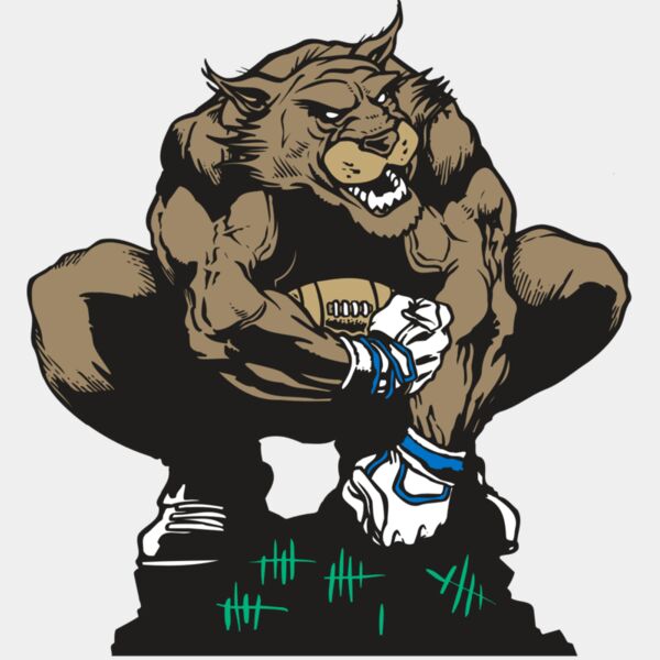 AR WILDCAT 34 RC Thumbnail