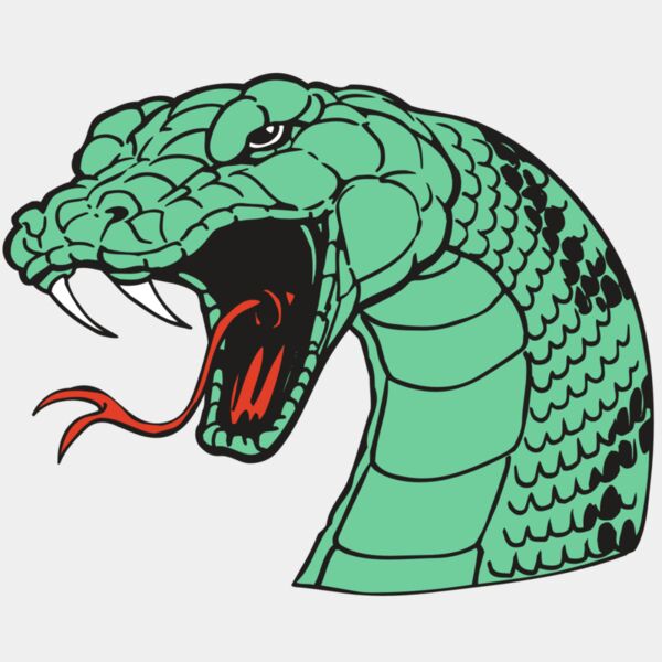 AR SNAKE 10 RC Thumbnail