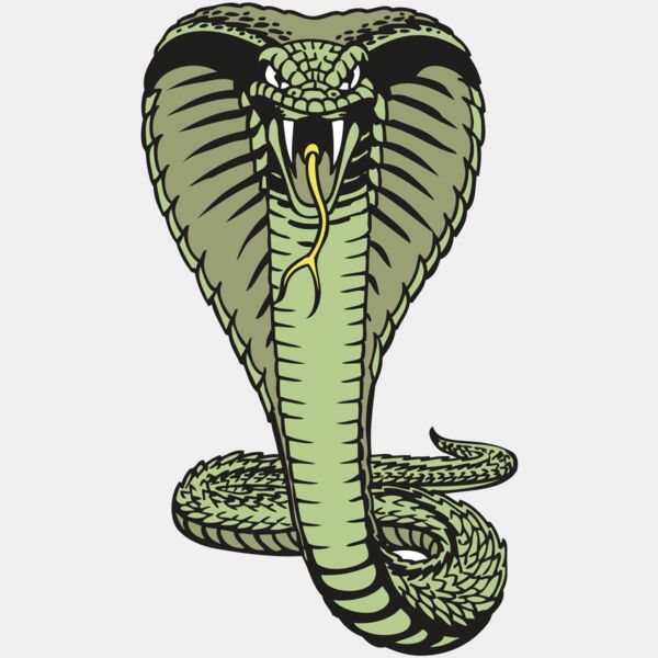 BAW SNAKE 15 RC Thumbnail